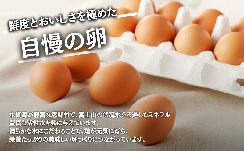 【定期便】忍野の平飼い放牧卵　3か月連続定期便（毎月30個×3か月　合計90個）
