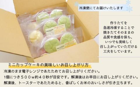 お米100％でつくった　野菜入りミニカップケーキセット　米粉　アレルギー対応　カップケーキ　ミニ　野菜入り