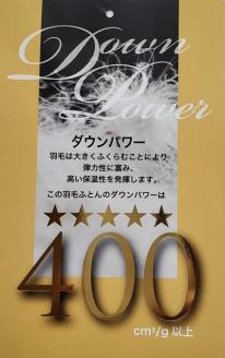 訳アリ 羽毛布団【イングランド産ホワイトダウン93%】 ダブル 190×210cm 羽毛掛け布団【ダウンパワー400】