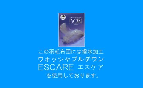 【セミダブル】洗濯機で洗える2枚合わせ羽毛ふとん【新津】｜オールシーズン　合い掛け　肌掛け