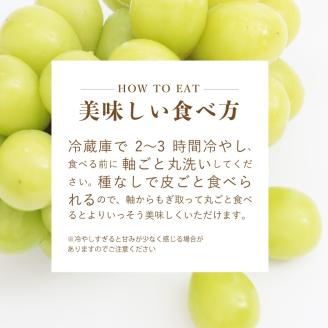 シャインマスカット　2房　1.3kg相当