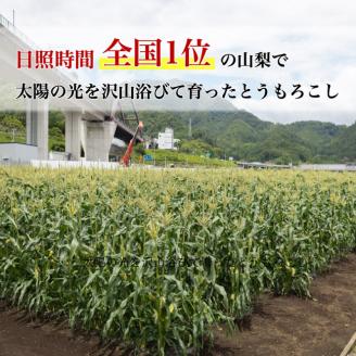 【2026年先行予約】山梨県産 ヤングコーン 30本入｜朝採れ もぎたて発送 ヒゲ付き 甘い 国産 とうもろこし トウモロコシ 野菜 産地直送 送料無料【炭香ファーム】