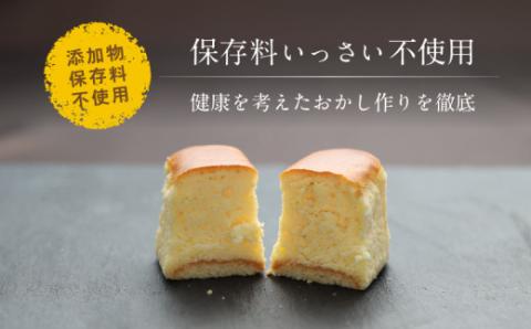 半熟ショコラ1箱（10個入り） 半熟ショコラ10個