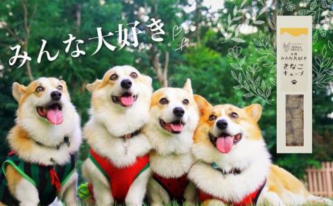 【歯のない子でも食べられる】シニア向け犬用おやつセット