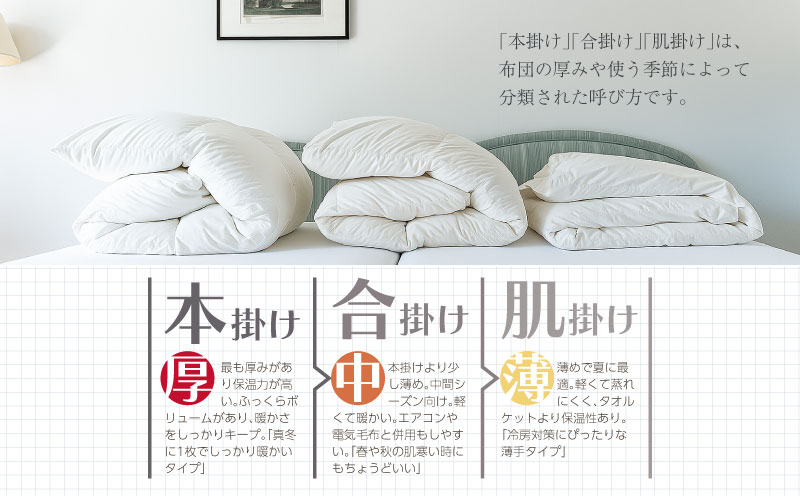 【クイーン】【本掛け】羽毛掛けふとん　ソフラーノ　マシュマロタッチ・保温性・フィット性・快適性（220cm×210cm） 本掛け クイーン