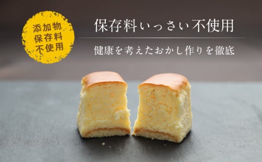 半熟チーズケーキ1箱（10個入り） 半熟チーズケーキ10個