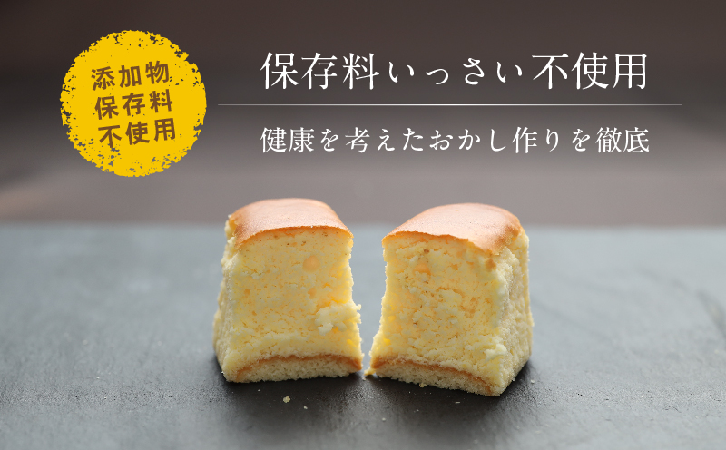 半熟チーズケーキ１箱・半熟ショコラ1箱（各１０個入り） 半熟チーズケーキ10個・半熟ショコラ10個