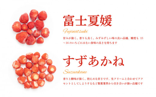 冷凍いちご 5袋詰合せセット