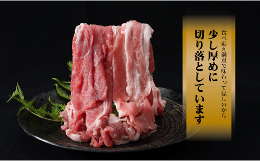 【9/1申し込みより冷凍発送！】　訳あり！【幻の銘柄豚】富士湧水ポーク 切り落とし と 挽肉 のガッツリ盛りセット 4.8kg　豚肉　切り落とし　ひき肉　挽肉　国産豚　小分け　炒め物　不揃い　訳アリ　わけあり