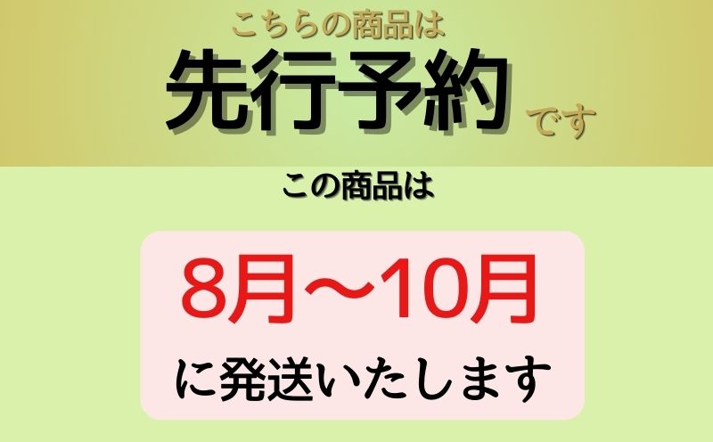【2026年 先行予約】山梨県産　シャインマスカット 約1.2kg (２房～3房) | フルーツ 人気 甘い 糖度 山梨 大粒 種無し 種なし 山梨 やまなし 山梨県産 葡萄 ブドウ フルーツ 果物 くだもの シャイン マスカット ぶどう デザート スイーツ 1.2kg