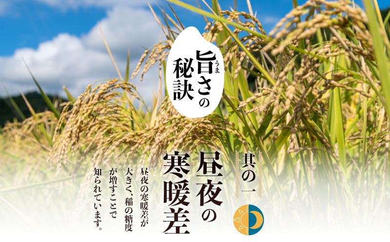 【令和７年産新米・予約】山梨県都留市産こしひかり[10kg]　米　コメ　こめ　新米　コシヒカリ　こしひかり　山梨　山梨県