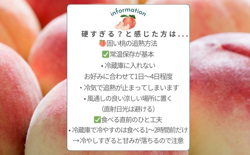 【2026年　先行予約】日本一の産地山梨県産　朝採れカターい桃２Kg（5～8房） モモ なつっこ 夢みずき あかつき スイーツ ピーチ フルーツ デザート お祝い プレゼント くだもの 甘い 糖度 硬い桃