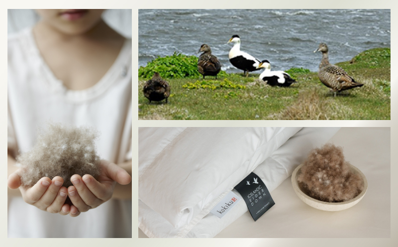 kokiku セミダブル アイダー×GIZA 羽毛布団【肌掛け】アイスランドアイダー ダウン95％　寝具　羽毛　ダウン　ダウン布団　ダウンふとん　羽毛肌掛け　ダウン肌掛け　肌掛け　肌かけ　肌がけ　セミダブルふとん　セミダブル布団　セミダブル肌掛け　セミダブル肌かけ セミダブル