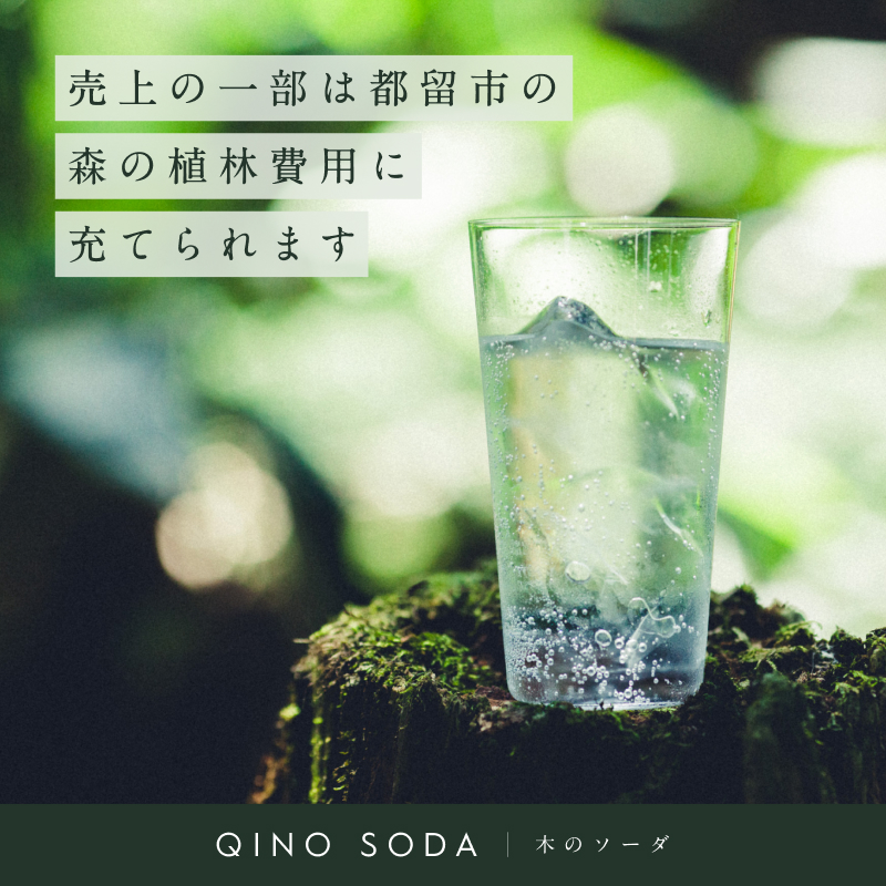 QINO SODA 杉 - 富士山麓 -