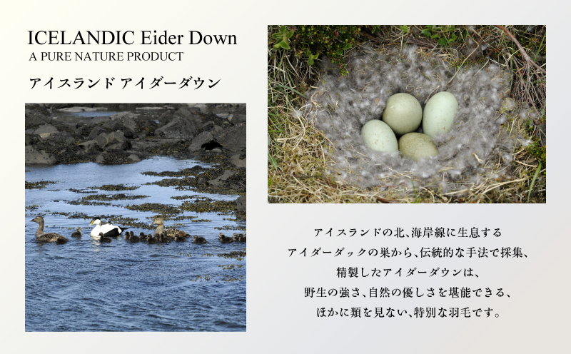 【富士屋ホテル】アイダーダウン 羽毛本掛けふとん  キング［ アイダーダウン×国産シルク生地］