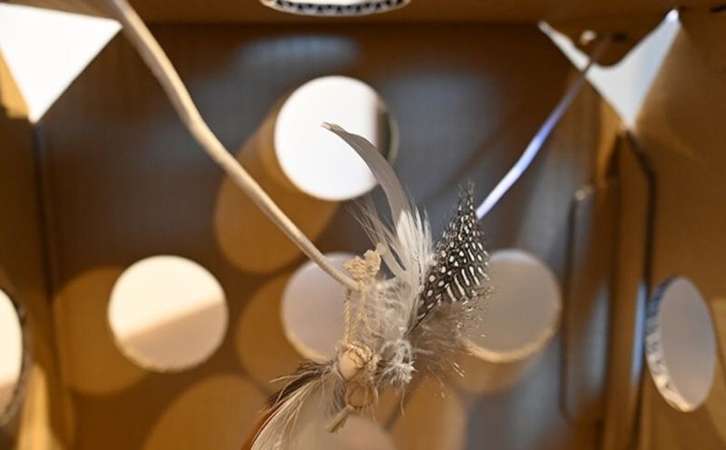 necowakuBOX｜ネコワクボックス ねこ　猫　ネコ