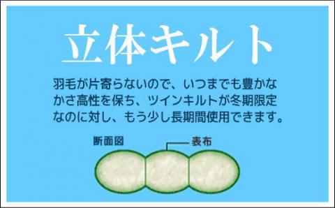 ダブル【プレミアムゴールドラベル】コウダ種ポーランドマザーグース95％羽毛｜掛け布団 【新津】 ダブル