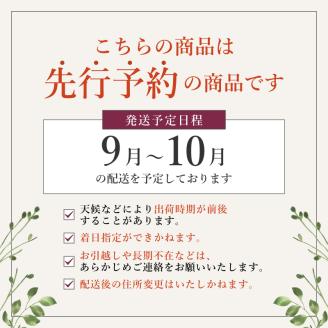 シャインマスカット　2房　1.3kg相当