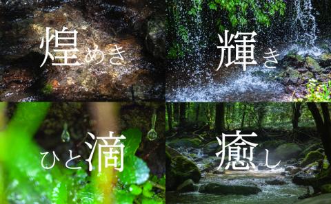 pt900 ダイヤモンドピアス　0.10ct（RP_MP-063）ダイヤ ダイヤモンド プラチナ  ピアス ジュエリー アクセサリー ギフト プレゼント 鑑別書付 保証書付