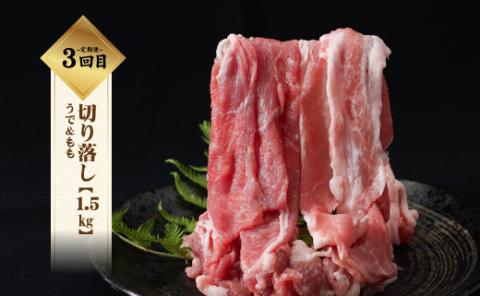 【9/1申し込みより冷凍発送】　＜定期便＞6回プラン 幻の銘柄豚 富士湧水ポーク 2か月毎に美味しいお肉が届く！ 食べつくしセット　豚 　豚肉　ぶた　ロース　しゃぶしゃぶ　すきやき　すき焼き　切り落とし　ハム　メンチ　ハンバーグ　ヒレ　ステーキ　スペアリブ　ポーク　湧水　富士湧水