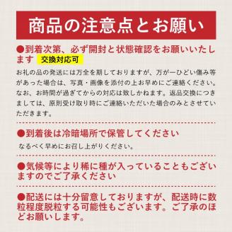 【2026年先行予約】山梨県産　シャインマスカット 1.1kg (２房～3房)　山梨 フルーツ 人気 甘い 糖度 ぶどう シャイン マスカット 名産 糖度 大粒 種無し 種なし やまなし 葡萄 ブドウ フルーツ 果物 くだもの シャイン マスカット デザート スイーツ　フルーツ　果実　ぶどう 1.1kg