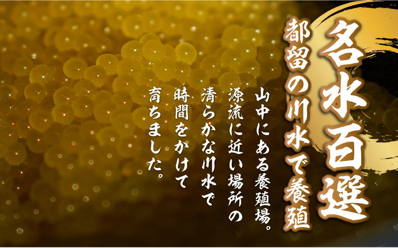 清流の煌めき　黄金いくら イクラ 川魚 無着色 天然 黄金 イワナ 岩魚 魚卵
