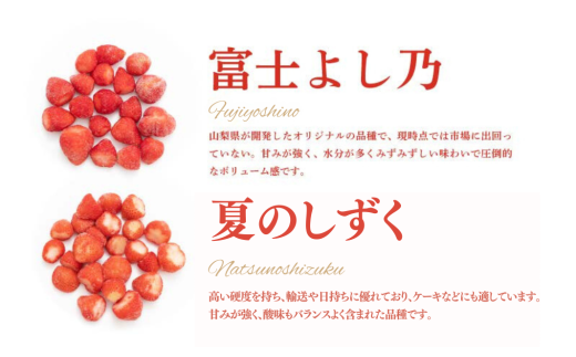 冷凍いちご 5袋詰合せセット