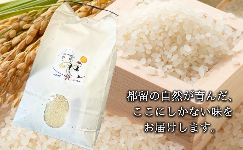 【ふるさと納税】【令和7年産 新米】山梨県都留市産 コシヒカリ 5kg｜精米 産地直送 送料無料【都留市の恩返し米】