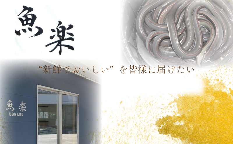 うなぎの蒲焼（半カット）2尾　380g以上　湯煎　温めるだけ 冷凍 真空パック 人気 お試し　ウナギ　鰻　うな重　かば焼き　ご馳走