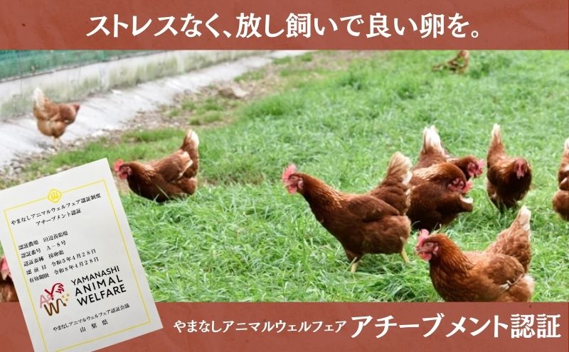 【定期便】忍野の平飼い放牧卵　3か月連続定期便（毎月30個×3か月　合計90個）