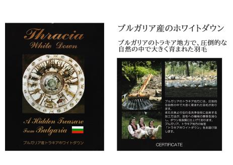 【シングル】都留市の羽毛掛け布団　新2層式キルト　ホワイトダウン93％　ダウンパワー400以上（防ダニ・抗菌・防臭）　アリエス（ブルー系）