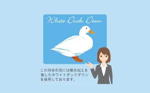 【クィーン】洗濯機で洗える2枚合わせ羽毛ふとん【新津】｜オールシーズン　合い掛け　肌掛け