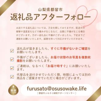 【2026年先行予約】山梨県産 ヤングコーン 30本入｜朝採れ もぎたて発送 ヒゲ付き 甘い 国産 とうもろこし トウモロコシ 野菜 産地直送 送料無料【炭香ファーム】