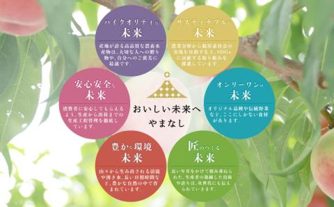 山梨県都留市産【2026年先行予約】日本一の産地 山梨県産 朝採れ桃 約1.5kg以上 (5～7玉）| フルーツ 桃 ピーチ 新鮮 朝どれ 夢みずき 白鳳 なつっこ あかつき 川中島 幸茜 厳選 品種 おまかせ もも モモ スイーツ デザート お祝い プレゼント ギフト 贈答 くだもの 甘い 糖度