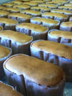 半熟チーズケーキ1箱・半熟ショコラ1箱（各12個入り） 半熟チーズケーキ12個・半熟ショコラ12個