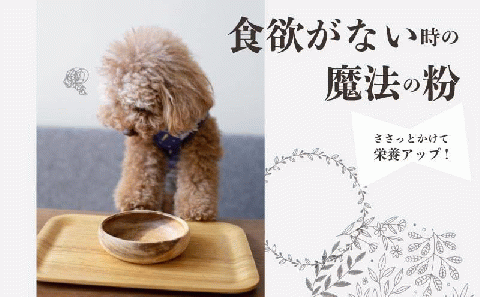 【歯のない子でも食べられる】シニア向け犬用おやつセット