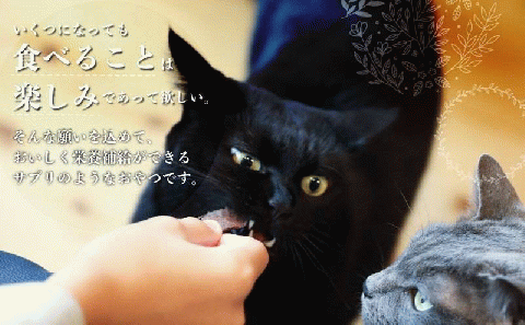 【猫様専用】鹿肉ジャーキーセット