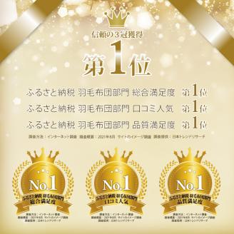 羽毛合い掛け布団ポーランド産マザーグース95%セミダブル170×210cmダウンパワー470合掛け