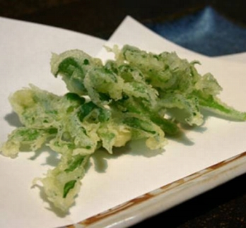 アイスプラント進化形 シャインリーフ（100g入り×5パック）