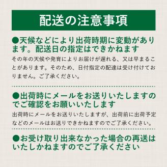 【2026年先行予約】山梨県産　シャインマスカット 1.1kg (２房～3房)　山梨 フルーツ 人気 甘い 糖度 ぶどう シャイン マスカット 名産 糖度 大粒 種無し 種なし やまなし 葡萄 ブドウ フルーツ 果物 くだもの シャイン マスカット デザート スイーツ　フルーツ　果実　ぶどう 1.1kg