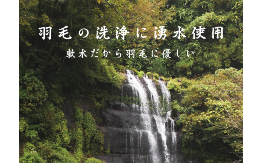 【肌掛け布団】羽毛肌掛け布団　ダウン80％　（シングル：150cm×210cm）【リユース羽毛】【ＲＥＲＥＸ】 ｜ 肌掛け 羽毛 ダウン