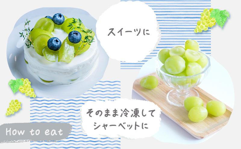 【2026年先行予約】シャインマスカット約1.3kg　（粒）|　マスカット　ブドウ　ぶどう　葡萄　シャインマスカット　甘い　フルーツ　スイーツ　粒　山梨　山梨県 約1.3kg