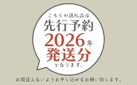 【2026年先行予約】　シャインマスカット約2.4kg（4~5房） 山梨 やまなし 葡萄 ブドウ フルーツ 果物 くだもの ぶどう デザート スイーツ 葡萄  甘い