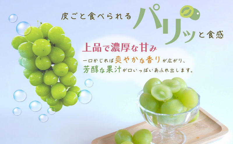 【2026年先行予約】【訳あり】シャインマスカット4房（約2.0kg）｜高糖度  種なし 甘い フルーツ 果物 葡萄 ブドウ ぶどう 産地直送 送料無料 山梨 都留市