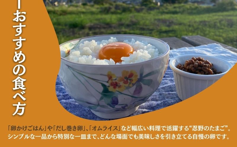 【定期便】忍野の平飼い放牧卵　3か月連続定期便（毎月30個×3か月　合計90個）