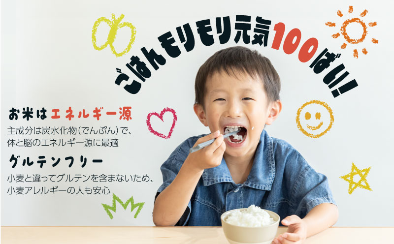 【令和７年産新米・予約】山梨県都留市産こしひかり[10kg]　米　コメ　こめ　新米　コシヒカリ　こしひかり　山梨　山梨県