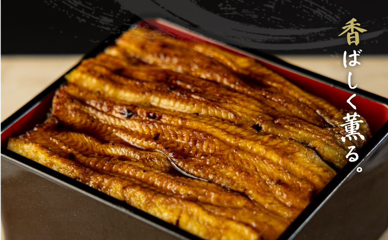 うなぎの蒲焼（半カット）2尾　380g以上　湯煎　温めるだけ 冷凍 真空パック 人気 お試し　ウナギ　鰻　うな重　かば焼き　ご馳走