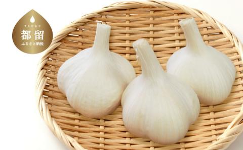 免疫力向上　【大玉】都留市特産　曽雌にんにく