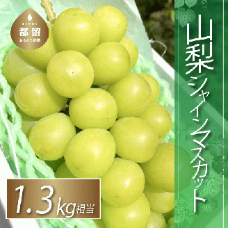 シャインマスカット　2房　1.3kg相当