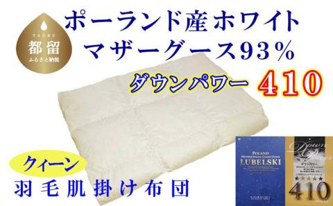 【ポーランド産マザーグース93%】羽毛肌布団 220×210cm クィーン【ダウンパワー410】